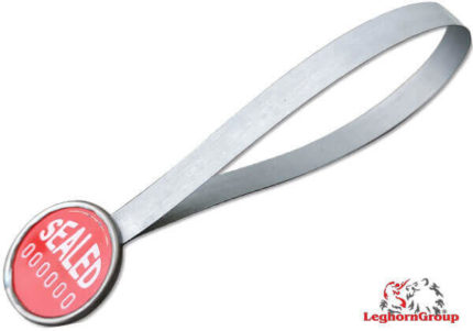 metal strap security seal strapseal