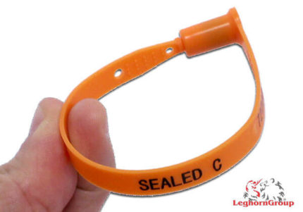 self locking plastic security seal carseal ww003