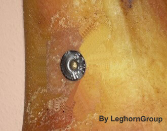 traceability of hams with rfid technology