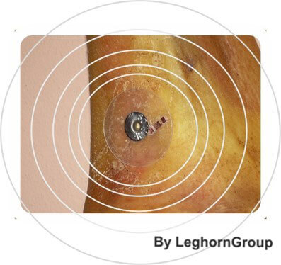 traceability of hams with rfid technology