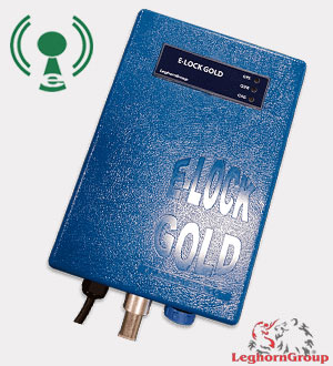 e-locks gold