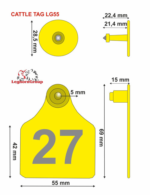 Livestock Ear Tags Dimensions