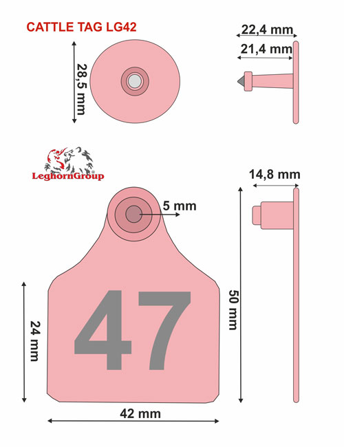Livestock Ear Tags - Dimensions