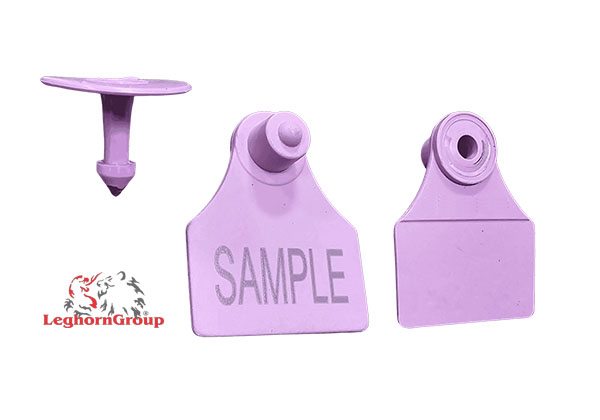 Animal Identification Ear Tags