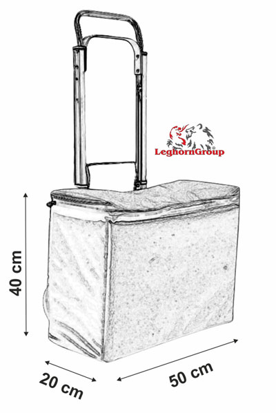 Itaca Security Trolley in Reinforced Nylon for money and valuables transport