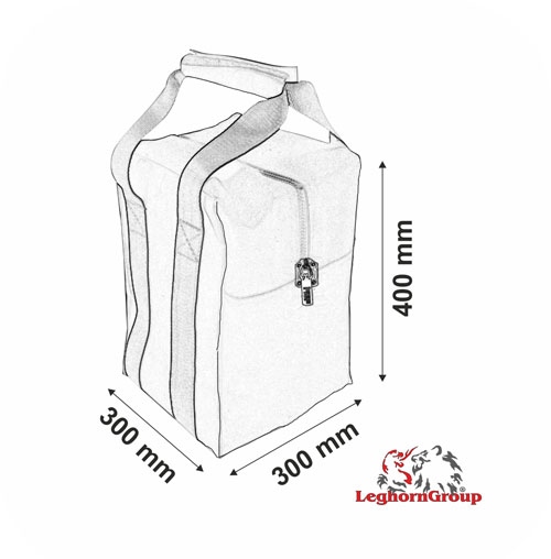 security bag money transport technical drawing