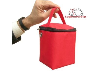Security Bag for Valuables