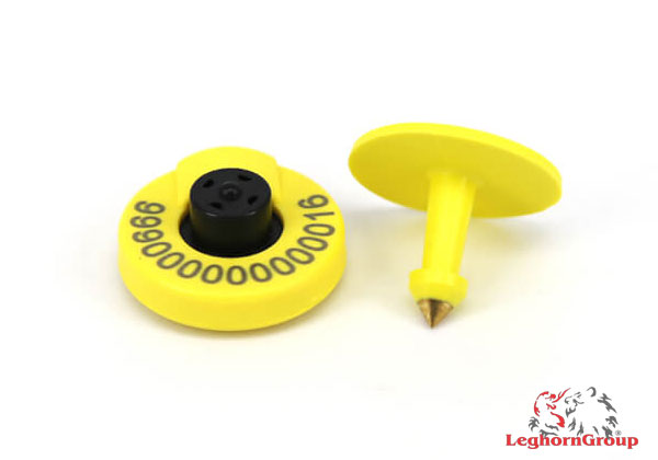 RFID tags for animals