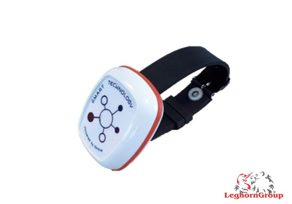 ABST Fashion Wearable Tag 